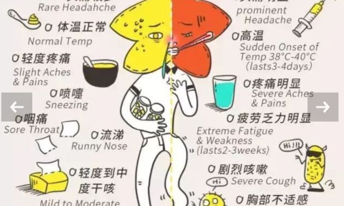 猴头菌颗粒是中成药吗-猴头菌颗粒冲剂价格网 - 为你提供猴头菌颗粒的害处、猴头菌颗粒的作用与功效